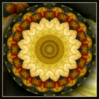 zucchini_kaleidoscope.jpg (178440 bytes)